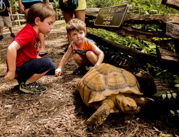 Woodlands Nature Station