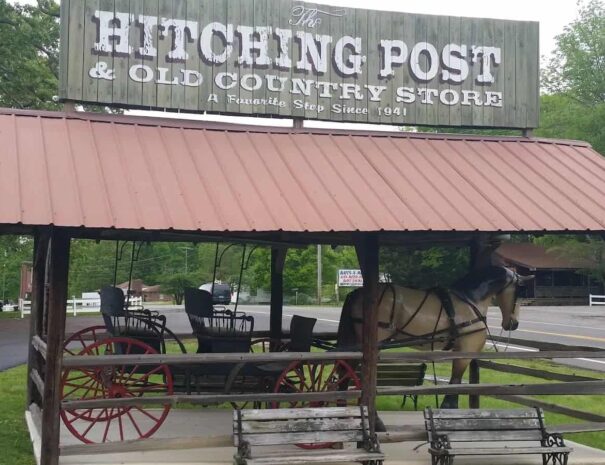 Hitching Post and Old Country Store Horse and Carriage