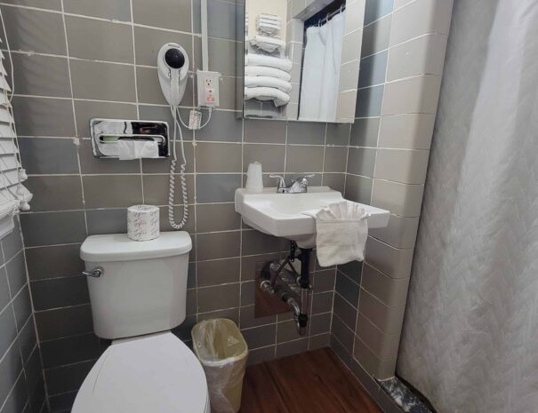 Premium Double Queen Bathroom Shower