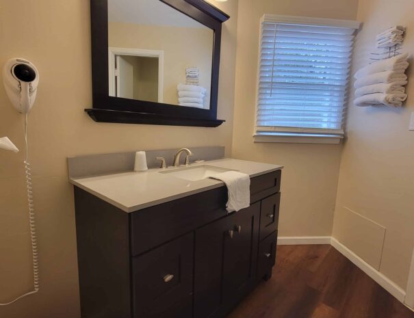 Premium Suite Bathroom Vanity
