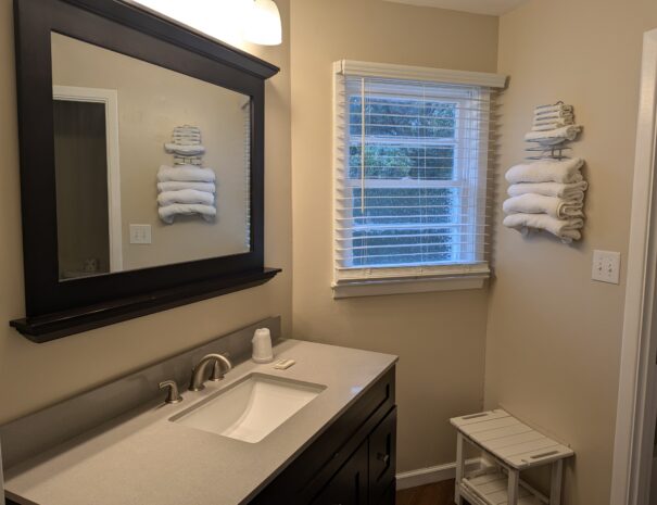 Premium Suite Bathroom Vanity