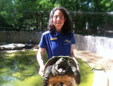 The Land Between The Lakes Woodlands Nature Station Turtle