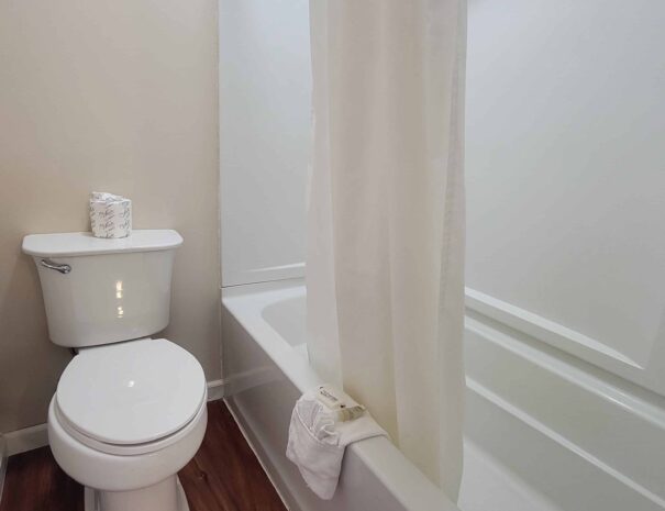 deluxe-king-bathroom-tub-shower-605x465