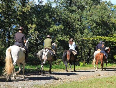 best resorts in kentucky